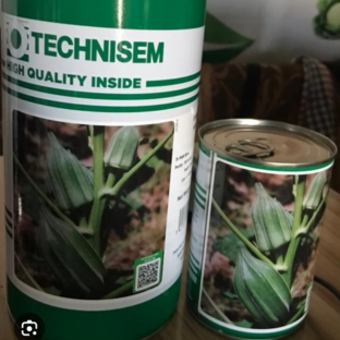 Untitled design - 2025-07-29T160126.616